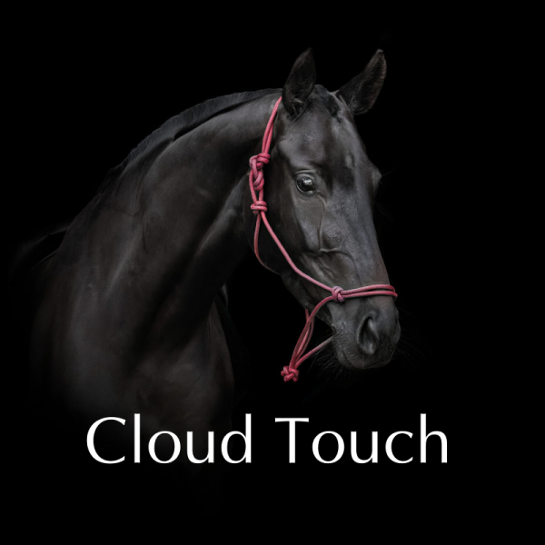 Horse Shampoo (Antimicrobial) by Majesticq UAE